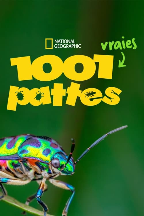 1001 vraies pattes Saison 1 Épisode 2